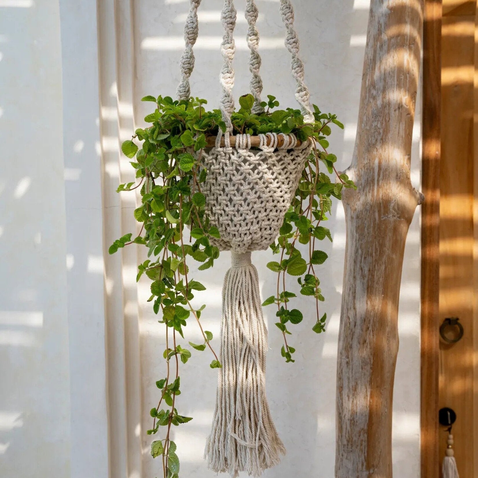 Bazar Bizar The Twisted Macramé Plant Holder - Natural White - M