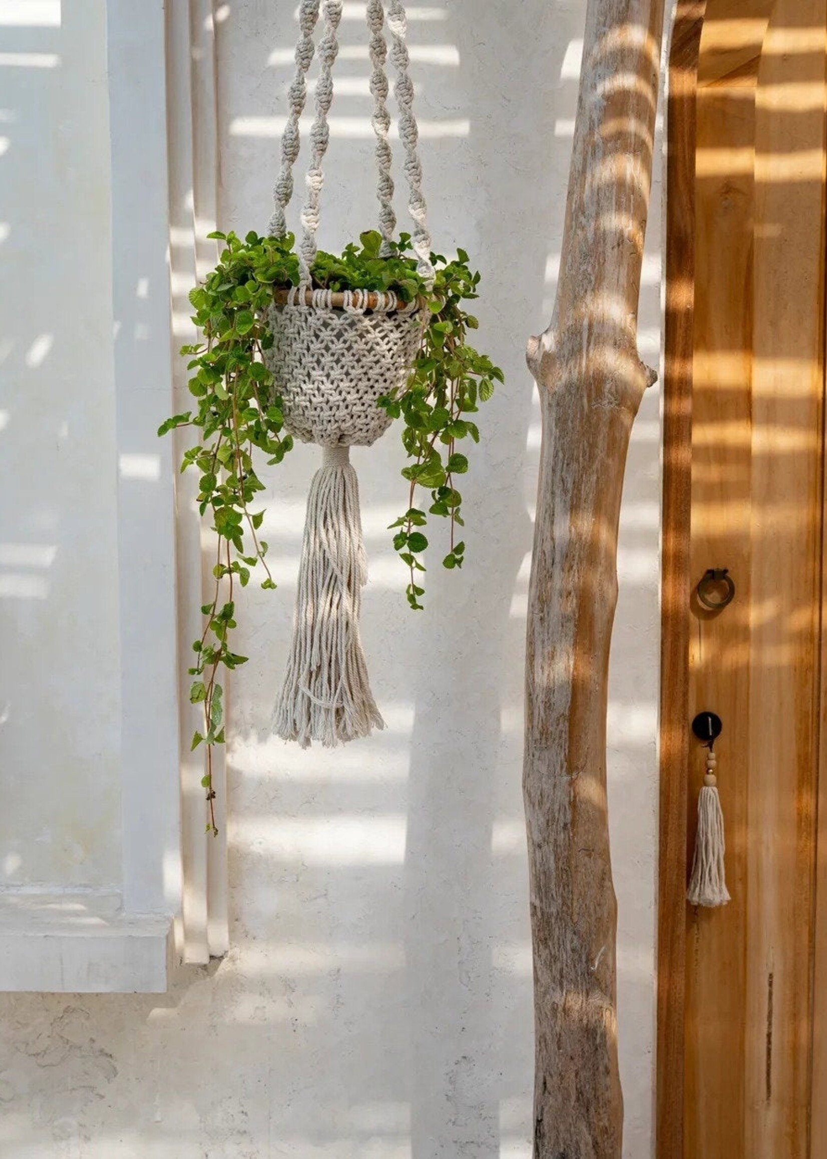 Bazar Bizar Antwerp The Cowrie Mask on Stand - Medium