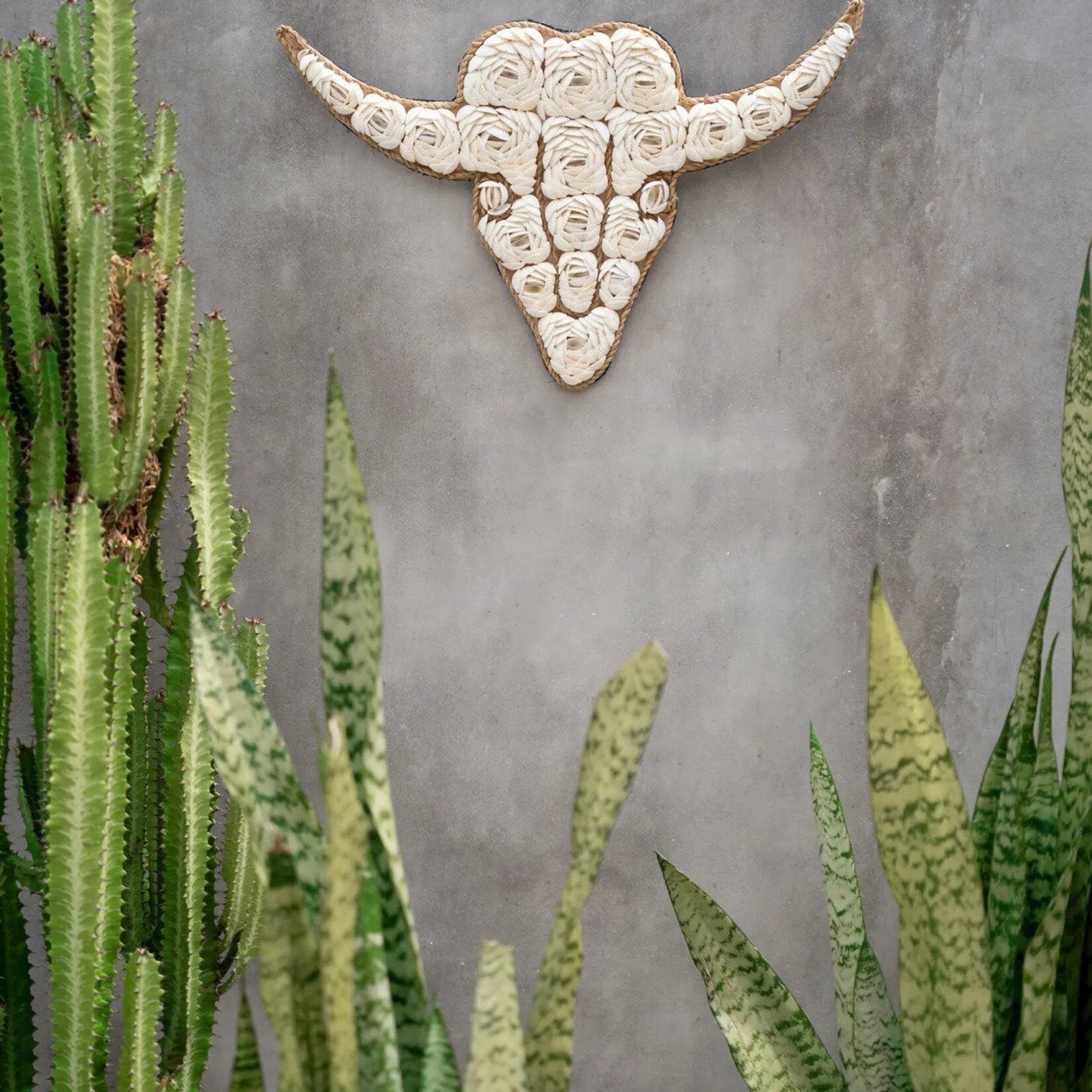Bazar Bizar Antwerp The Bull Shell - White