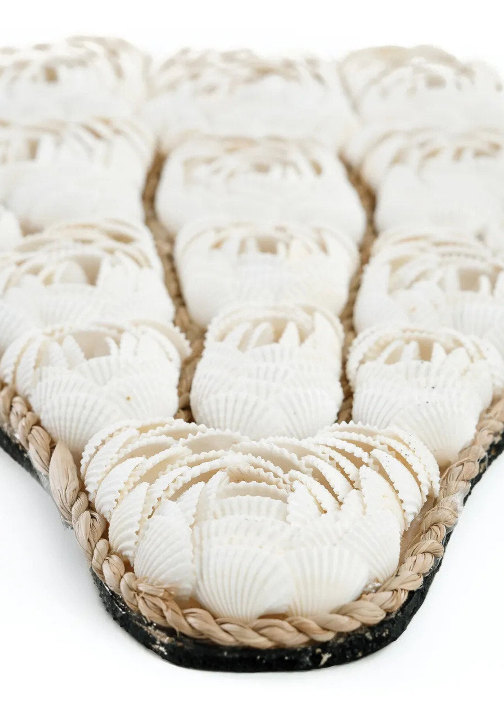 Bazar Bizar Antwerp The Bull Shell - White
