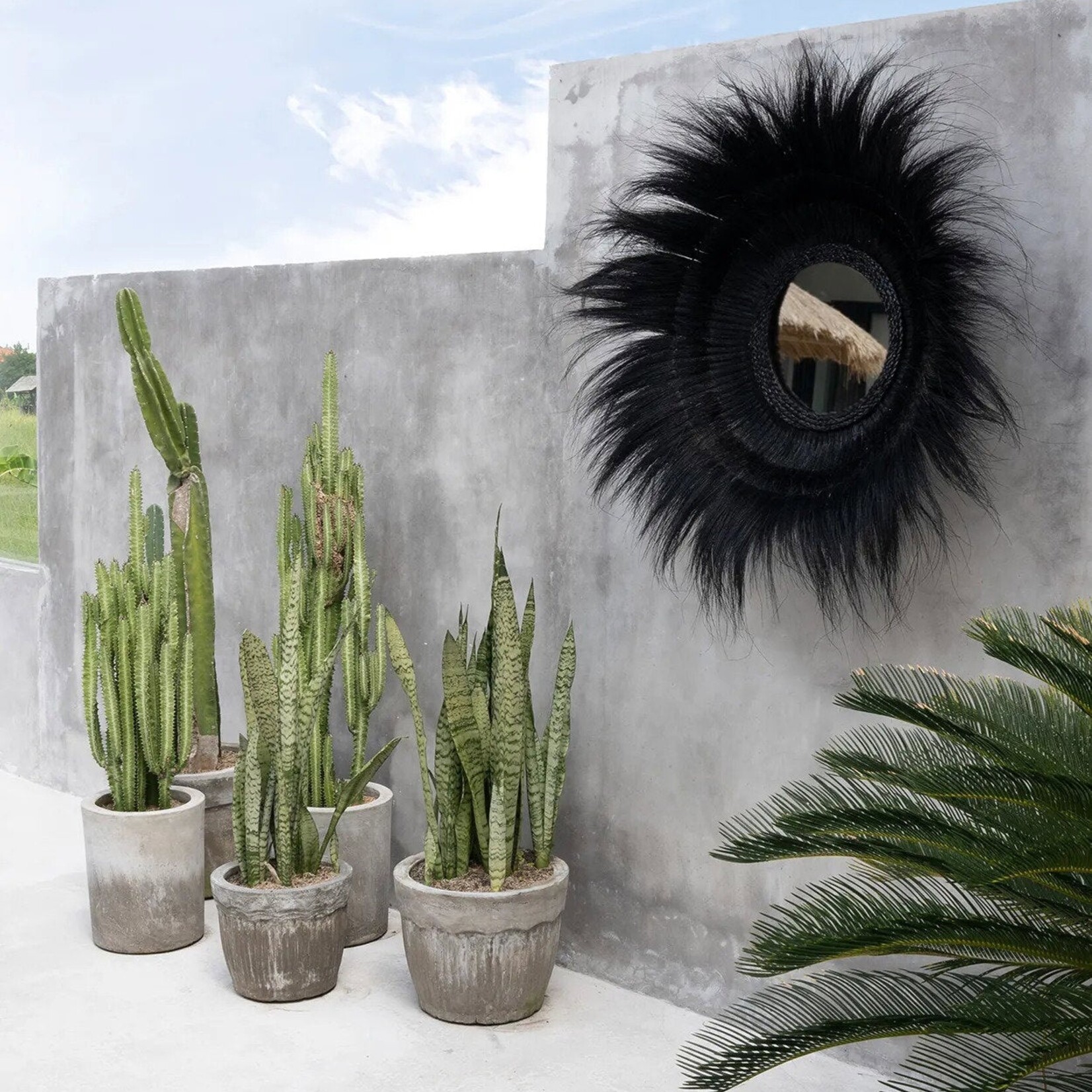 Bazar Bizar Antwerp The Sunken Forest Mirror - Black