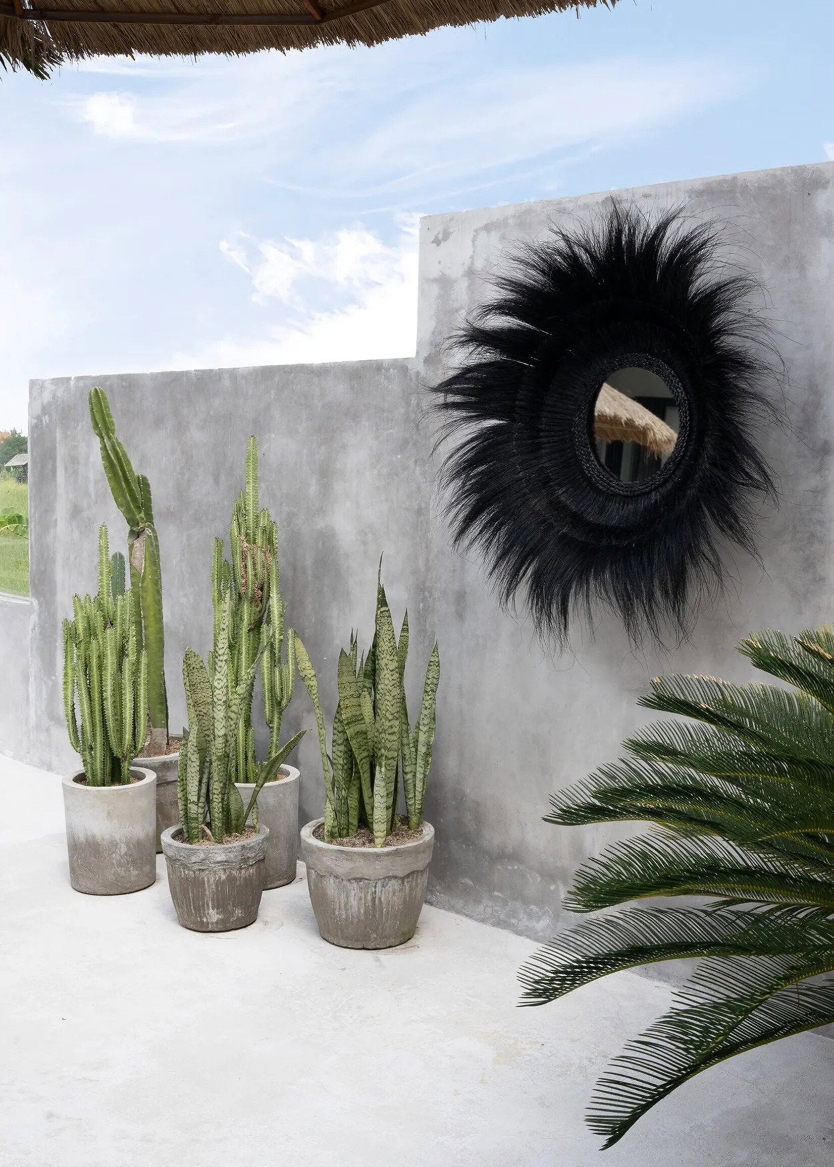 Bazar Bizar Antwerp The Sunken Forest Mirror - Black