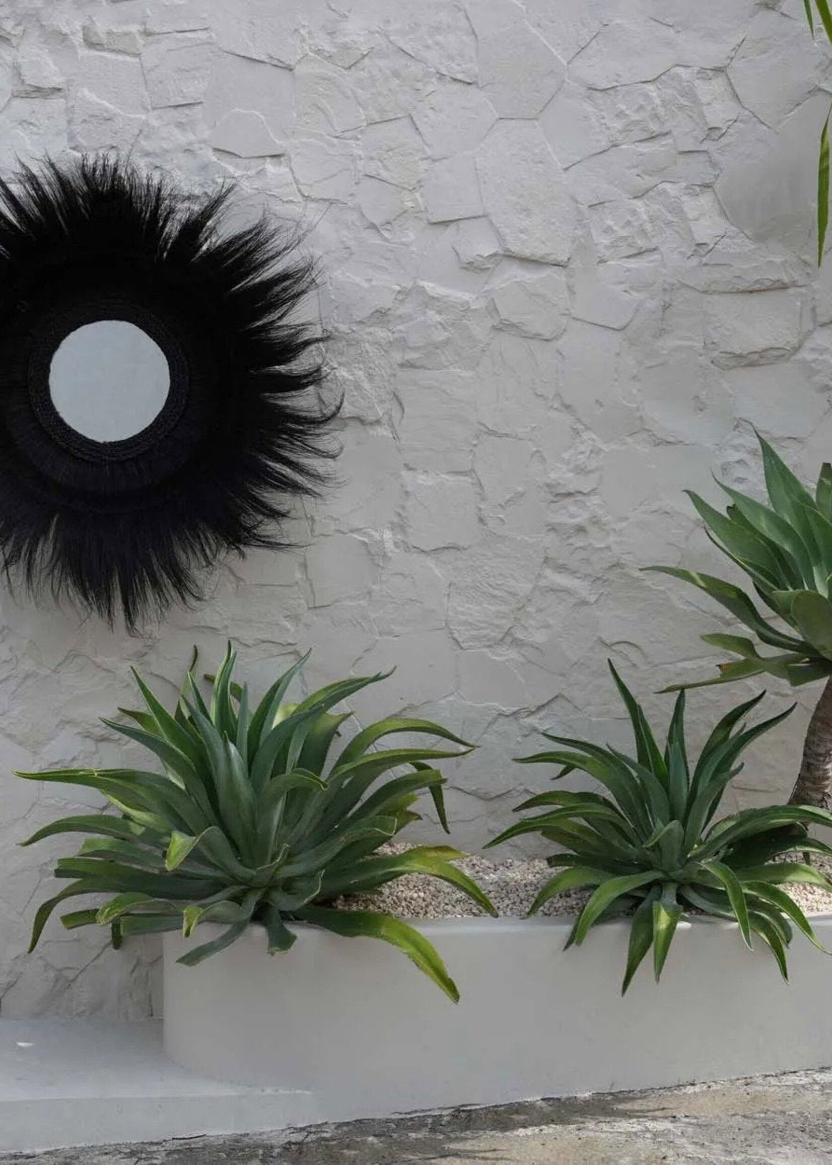 Bazar Bizar Antwerp The Sunken Forest Mirror - Black
