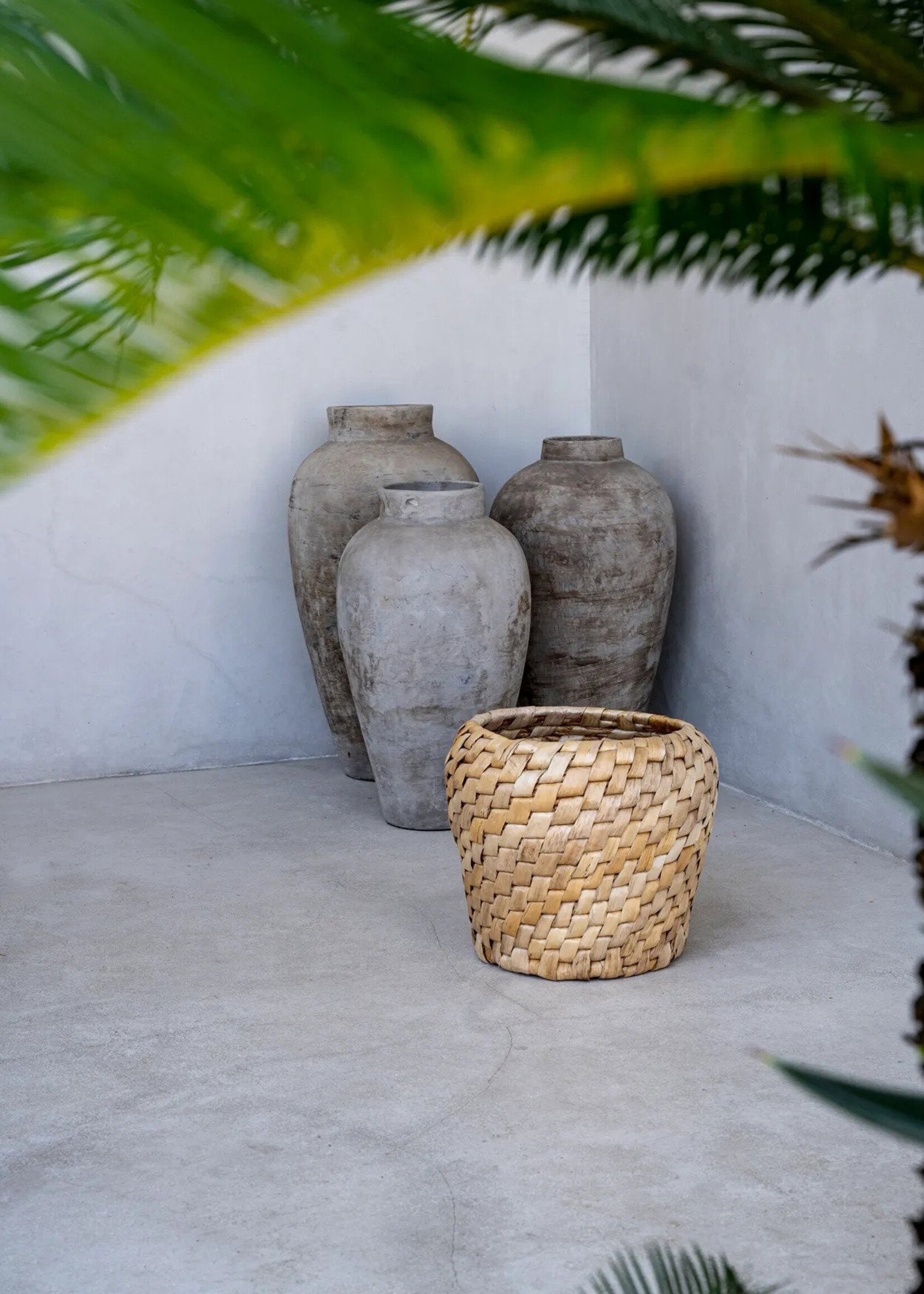 Bazar Bizar Antwerp The Chidi Basket