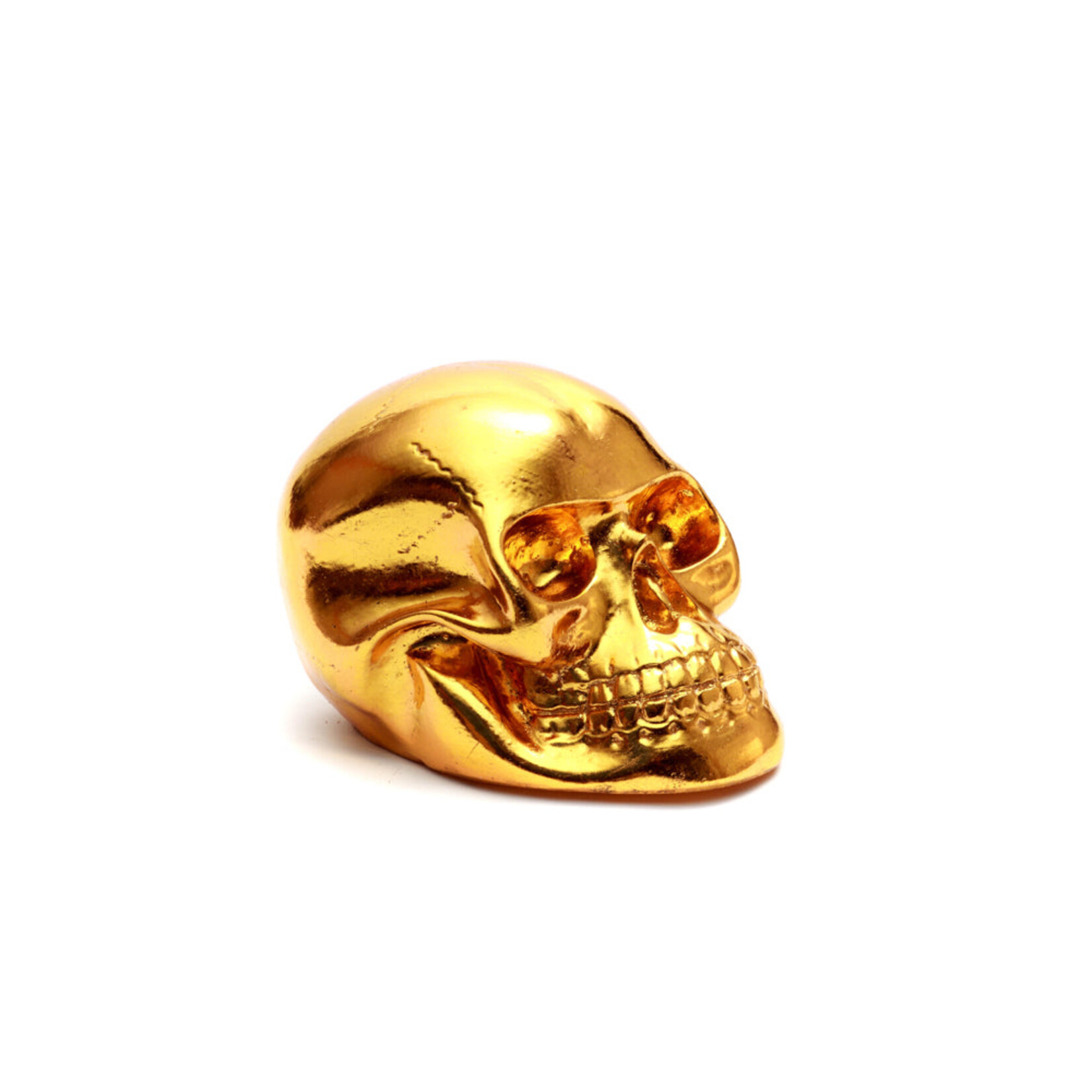 Bazar Bizar Antwerp The Resin Skull Head Gold S