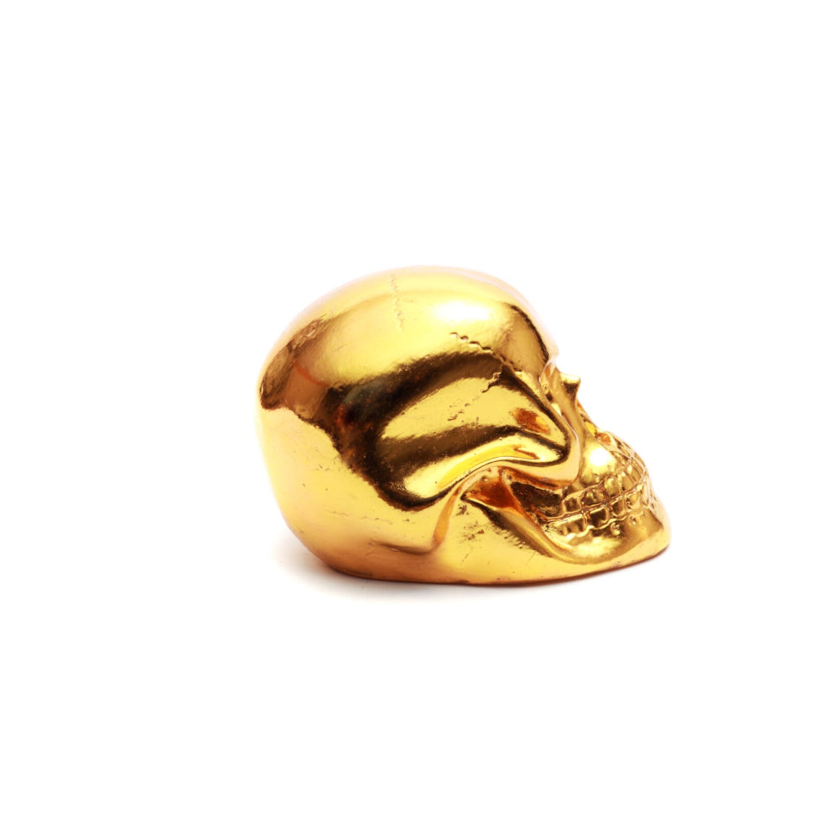 Bazar Bizar Antwerp The Resin Skull Head Gold S