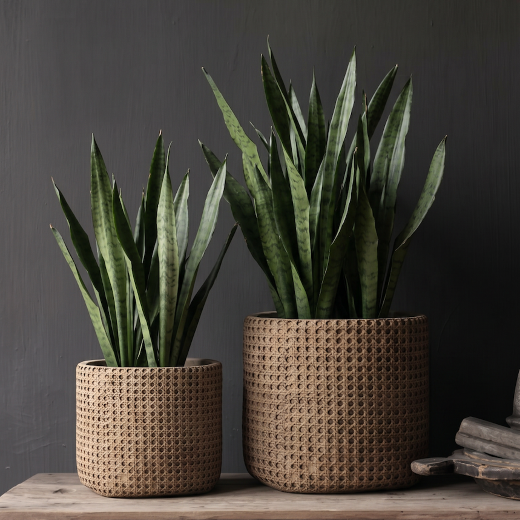 Bazar Bizar Antwerp The RattanRock Planter - Natural - XL