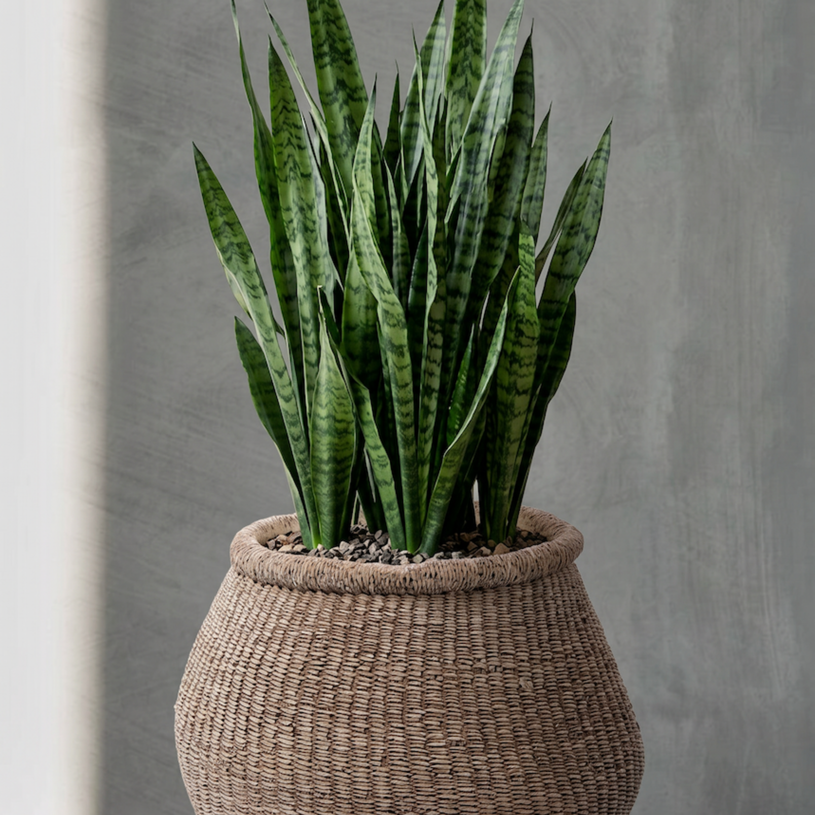 Bazar Bizar Antwerp The Faux-Puff Planter - Brown - L
