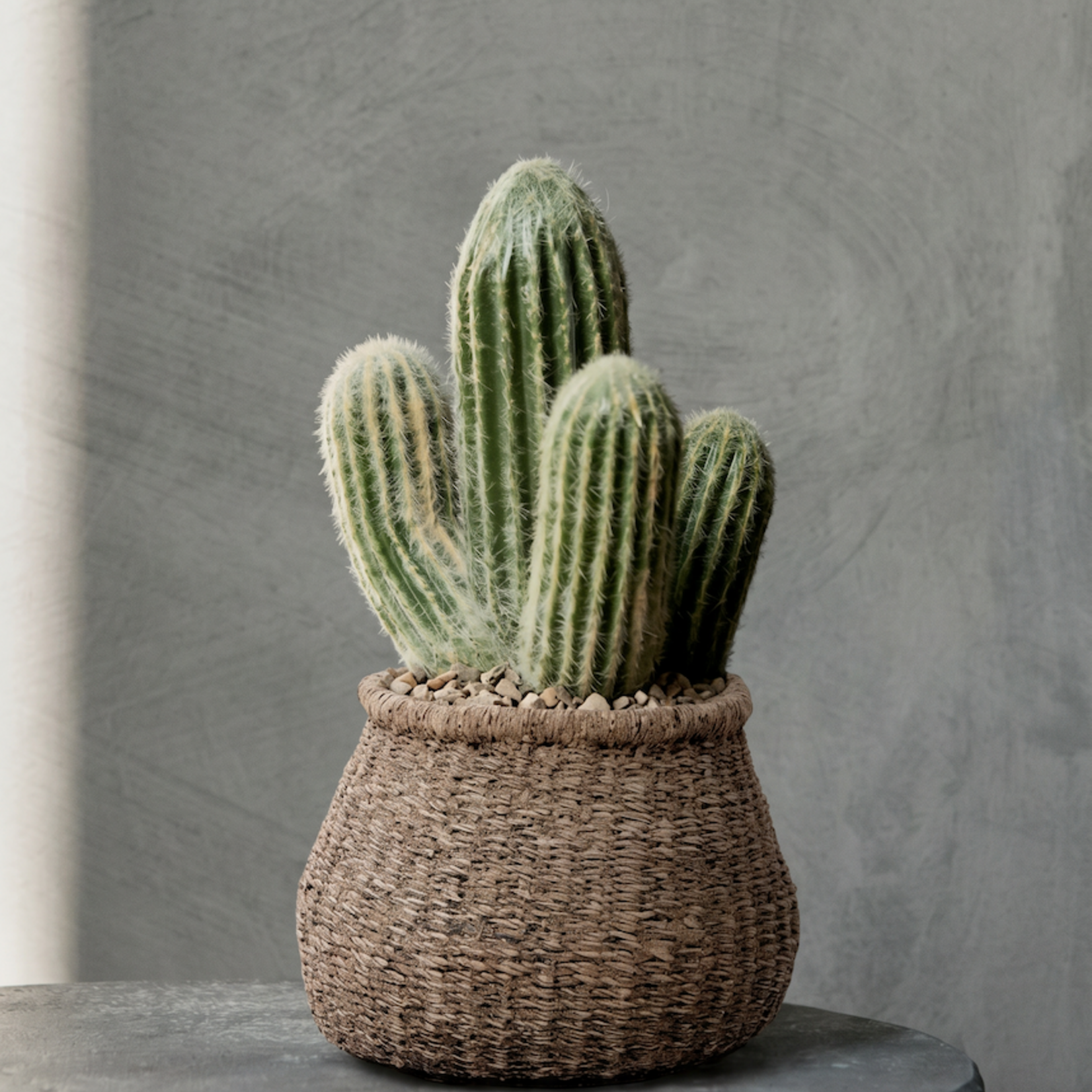 Bazar Bizar Antwerp The Faux-Puff Planter - Brown - S