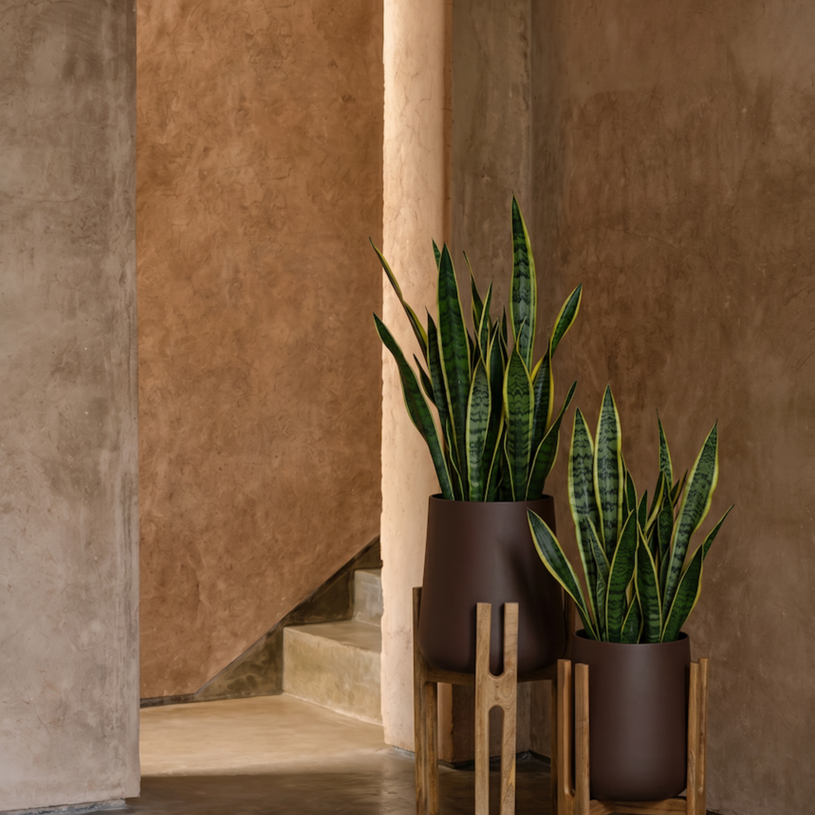 Bazar Bizar Antwerp The Forked Root Planter - Natural Brown - L