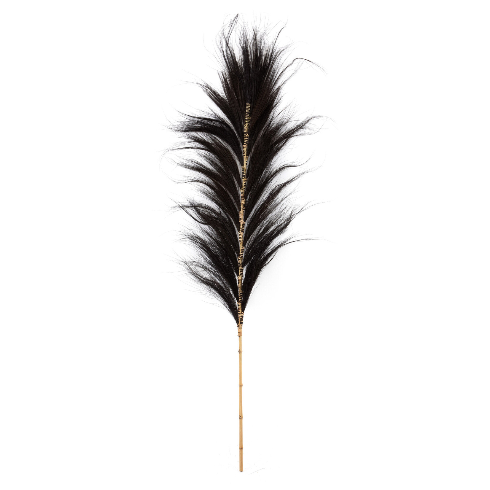 Bazar Bizar Antwerp The Stunning Leaf - Black