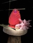 Oorbellen steen magenta klein