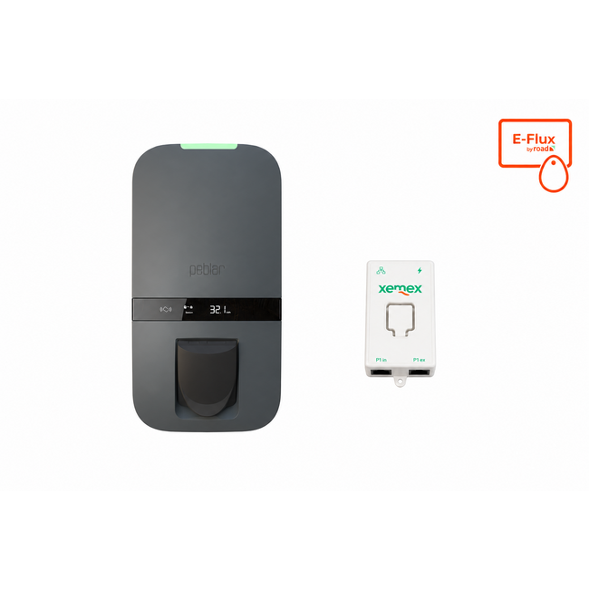 Peblar | Business | 22kW | MID | Socket