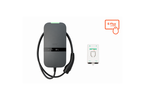 Peblar | Business | 22 kW | Kabel 5 m