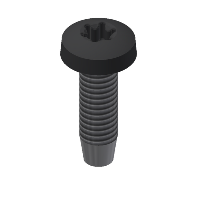Van der Valk | RVS Zelftapbout M6x20mm |  Zwart