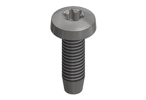 Van der Valk | RVS Zelftapbout M6x20mm