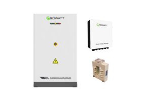Growatt ACE 261 kWh 600A