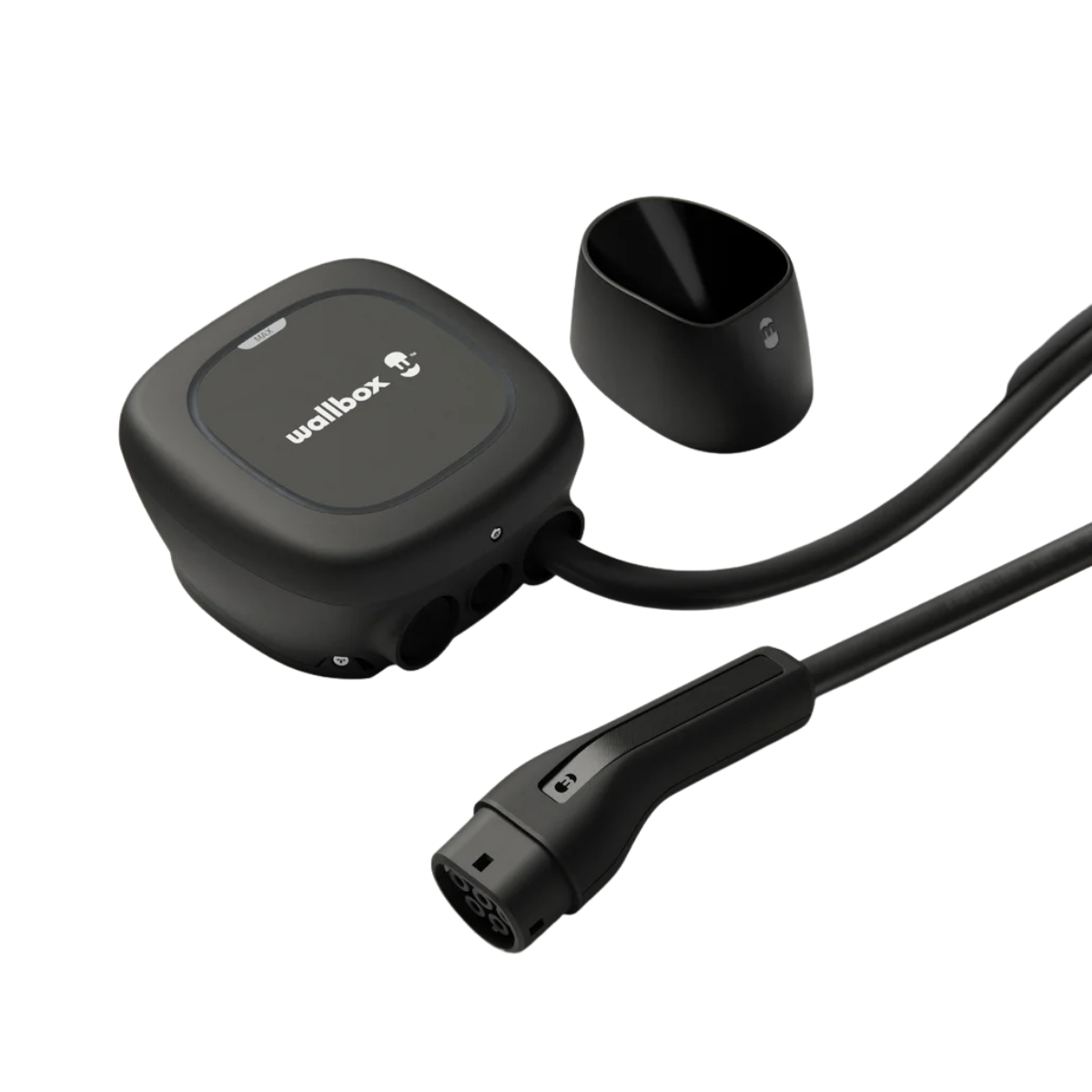 Wallbox Pulsar Max (22kW / 5 Meter / Type 2 / Zwart)