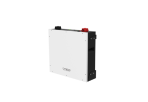 Dyness DL5.0C LV batterij 5.0 kWh