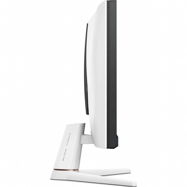 BenQ MOBIUZ EX251 | 24,5" Full HD 220Hz | 1ms | USB-C | Wit | Gaming Monitor
