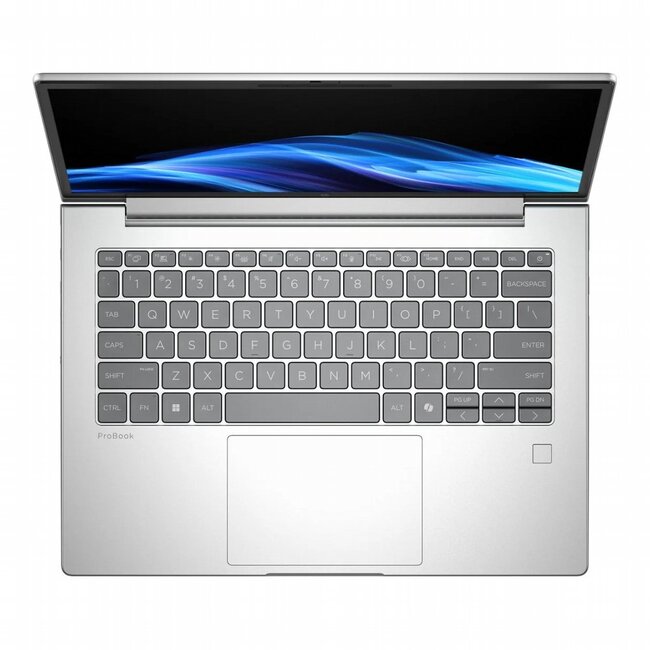 Hewlett Packard HP ProBook 4 G1A | 14'' WUXGA IPS | AMD Ryzen 5 230 | 16GB DDR5 | 512GB SSD | IR Camera | W11 Pro