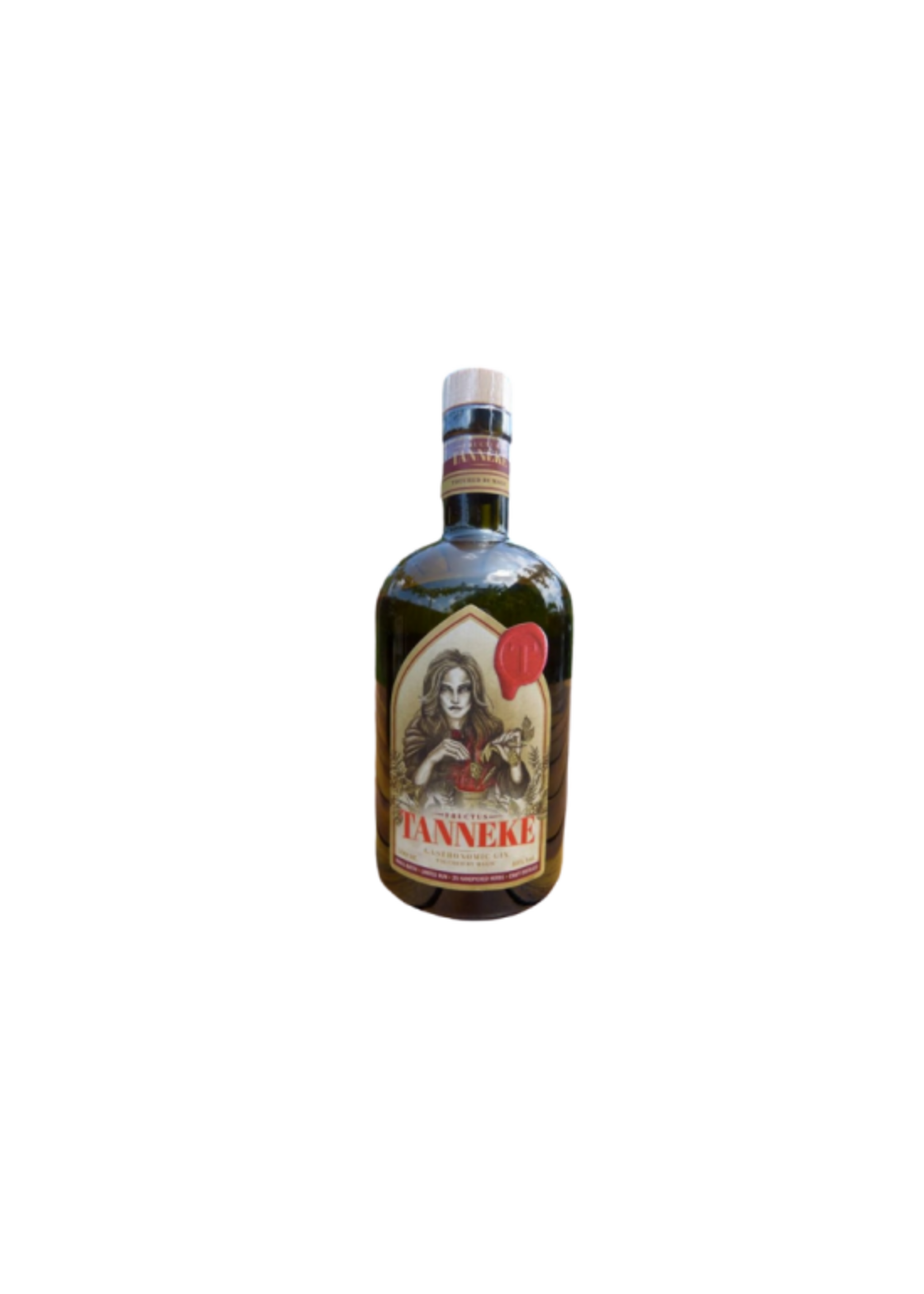 Tanneke Fructus Gin