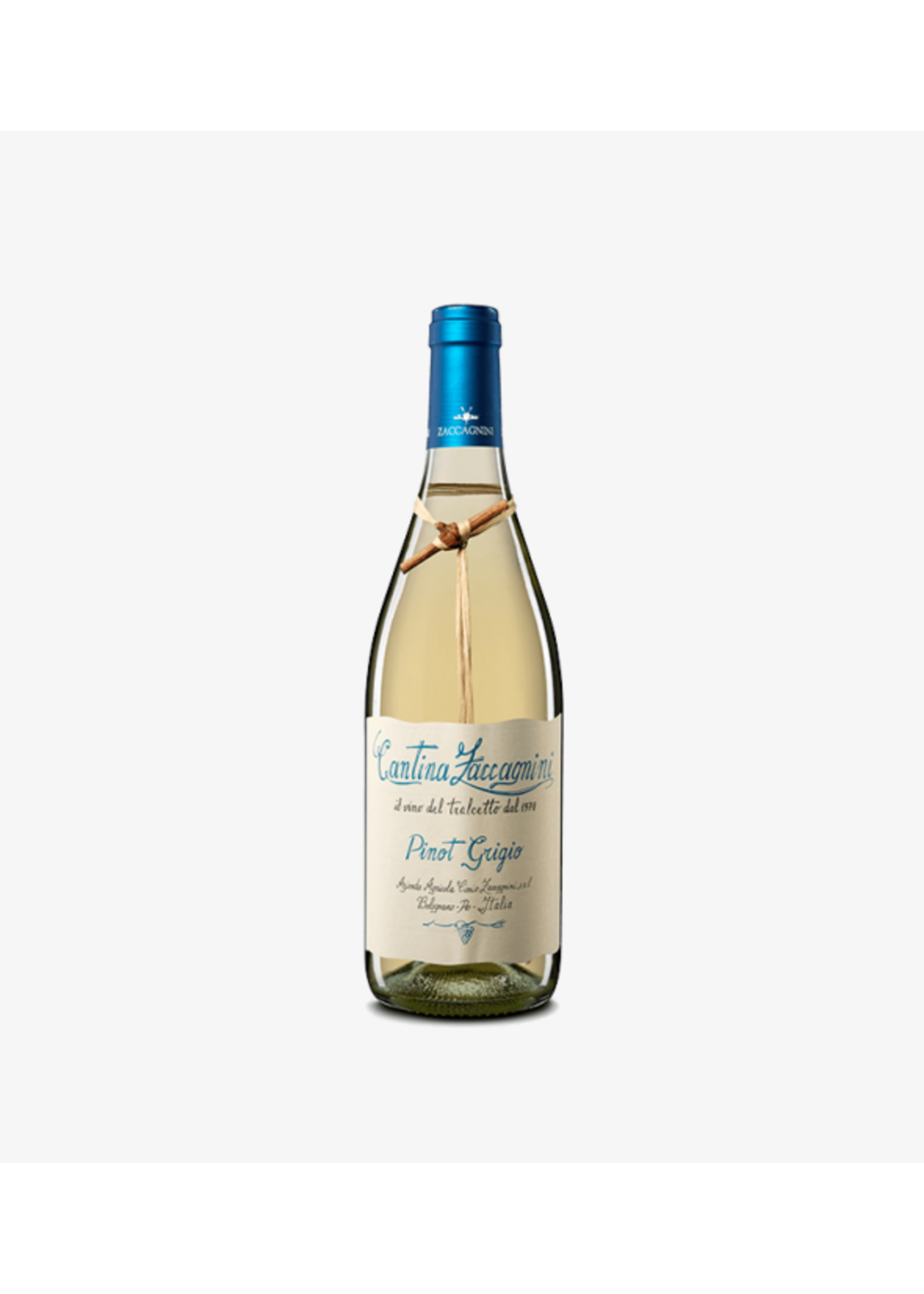 Cantina Zaccagnini Pinot Grigio 2024