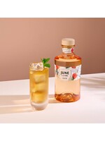 June by G'vine Wild Peach  & Summer Fruits Gin