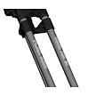 FastFold FastFold Flex 360 Carro de golf - Gris Negro