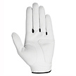 Callaway Callaway Syntech All Weather Men's Golf Glove (For Right-Handed Golfers)