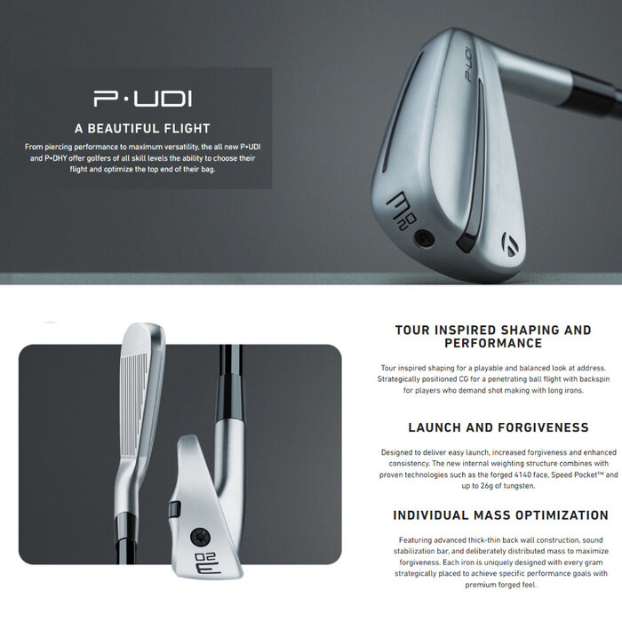 TaylorMade TaylorMade P-UDI Hierro de Driving (varilla de grafito)