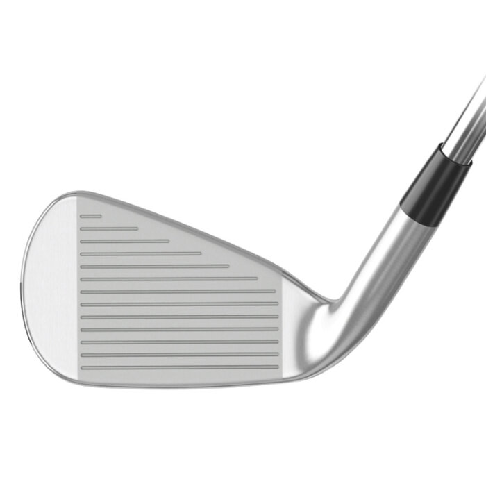 Mizuno Mizuno JPX 925 Hot Metal Irons 5-PW (steel shaft)