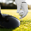Callaway Callaway Warbird Distance+ 2025 Bolas de golf - Blanco - 12 Unidades