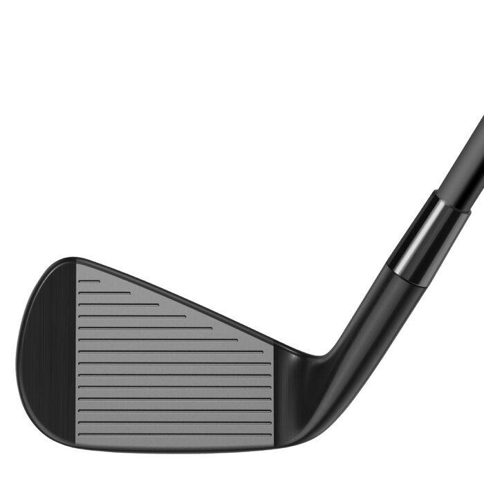 TaylorMade TaylorMade P-790 Black Designers Series Irons 5-PW 2026 (graphite) - LIMITED EDITION!