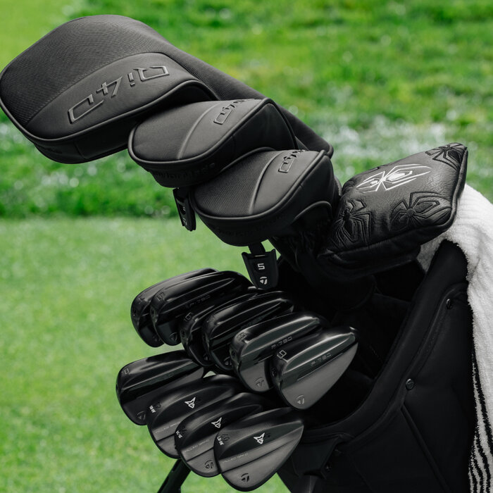TaylorMade TaylorMade P-790 Black Designers Series Irons 5-PW 2026 (graphite) - LIMITED EDITION!