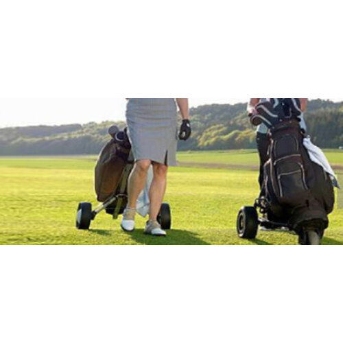 Carros de golf de 2 ruedas