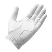 TaylorMade TaylorMade Stratus Tech Guante de Golf para Hombre 2026 (Para Golfistas Zurdos)