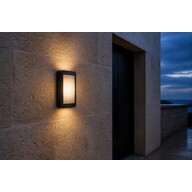 APEX Architectural Apex Terra Buitenwandlamp IP65