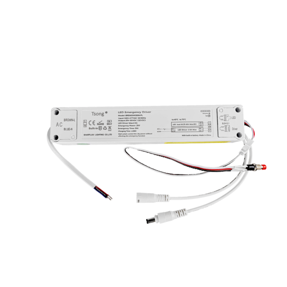 Tsong Tsong LED Voeding | SR-LD-ED-3W