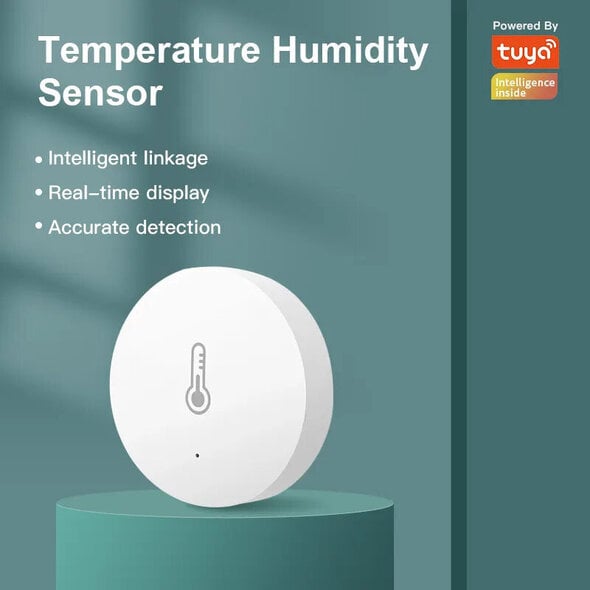 Smartlife Domotica Thermometer en hygrometer voor binnen met real time monitoring en groot display