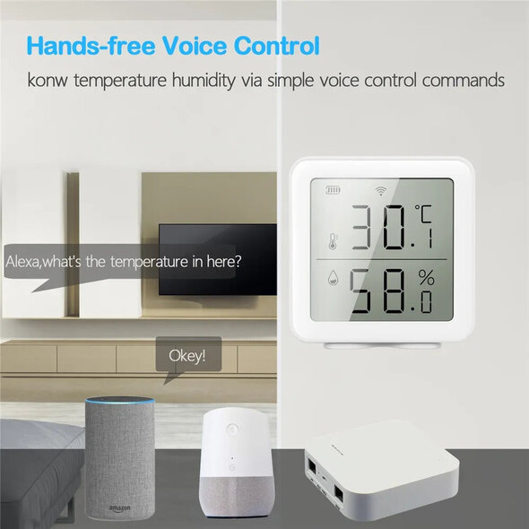 Smartlife Domotica Thermometer en hygrometer voor binnen met real time monitoring en groot display
