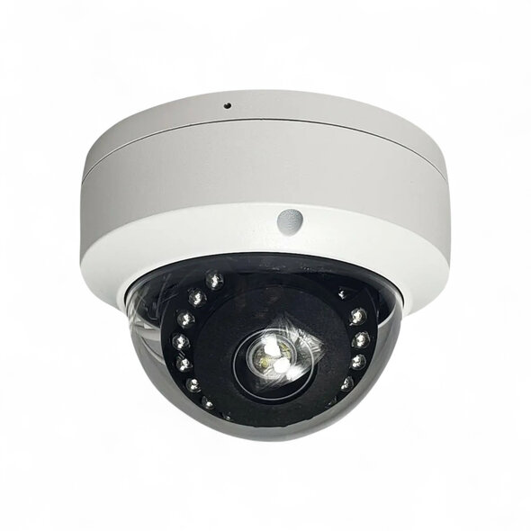 Smartlife Domotica Dome beveiligingscamera binnen met wifi en plafondmontage