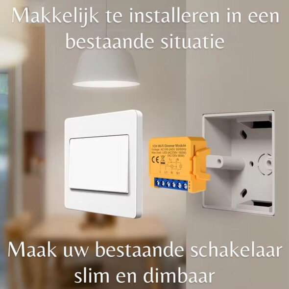 Smartlife Domotica Inbouw dimmer module 2 100W LED met WiFi en app bediening, wit
