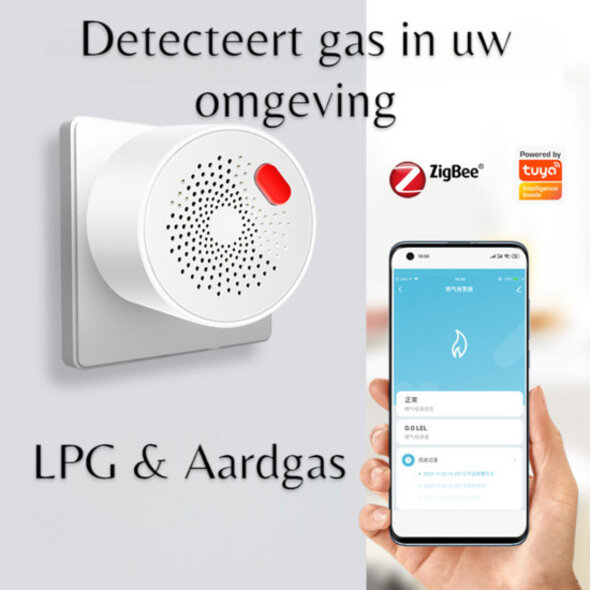 Smartlife Domotica Slimme gasmelder voor LPG en aardgas, Zigbee, 220V, wit
