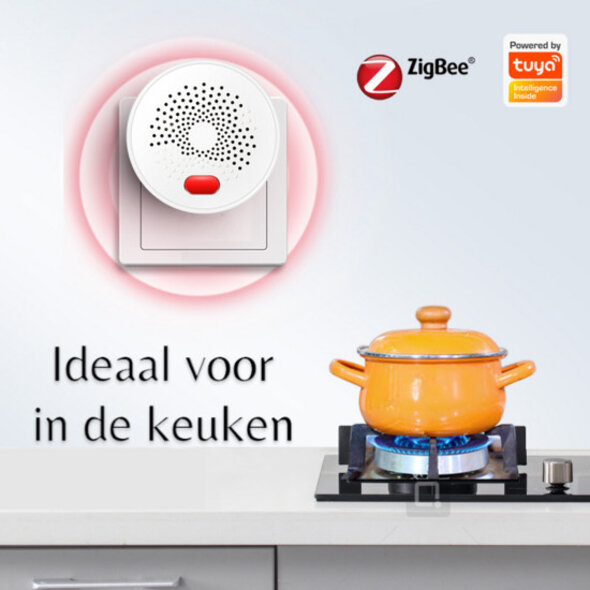 Smartlife Domotica Slimme gasmelder voor LPG en aardgas, Zigbee, 220V, wit