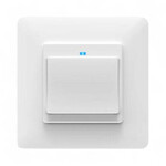 Smartlife Domotica Slimme witte WiFi lichtschakelaar voor inbouw met controleverlichting