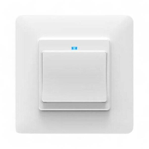 Smartlife Domotica Slimme witte WiFi lichtschakelaar voor inbouw met controleverlichting