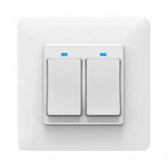 Smartlife Domotica Slimme 2-voudige lichtschakelaar voor inbouw met wifi, app en controleverlichting, wit