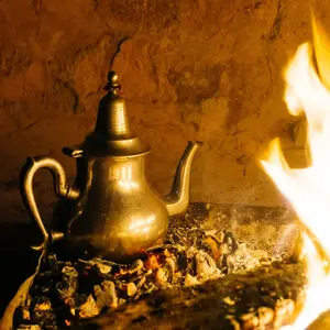 De Kruidenshop Marokkaanse muntthee met Gunpowder en Nanamint
