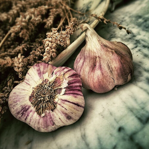 Gerookte knoflook